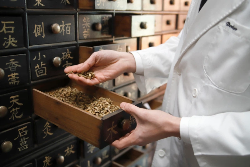 한약 · 식치 치료