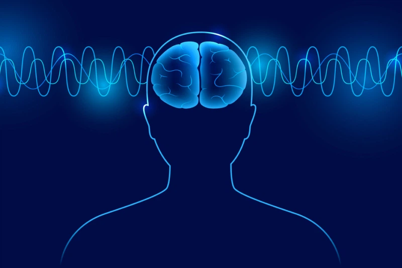 한약 · 식치 치료